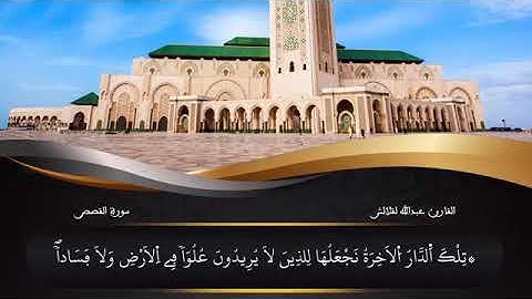 ما تيسر من سورة القصص عبدالله لقلالش