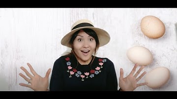 Teaching fundamental movement skills: Let