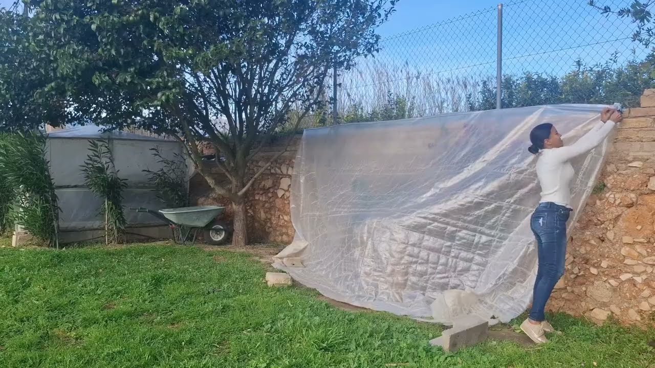 Un poco de trabajo en la finca de esta cubana en España,antes que llegue la primavera.