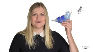 Product video | JumpStart Softback