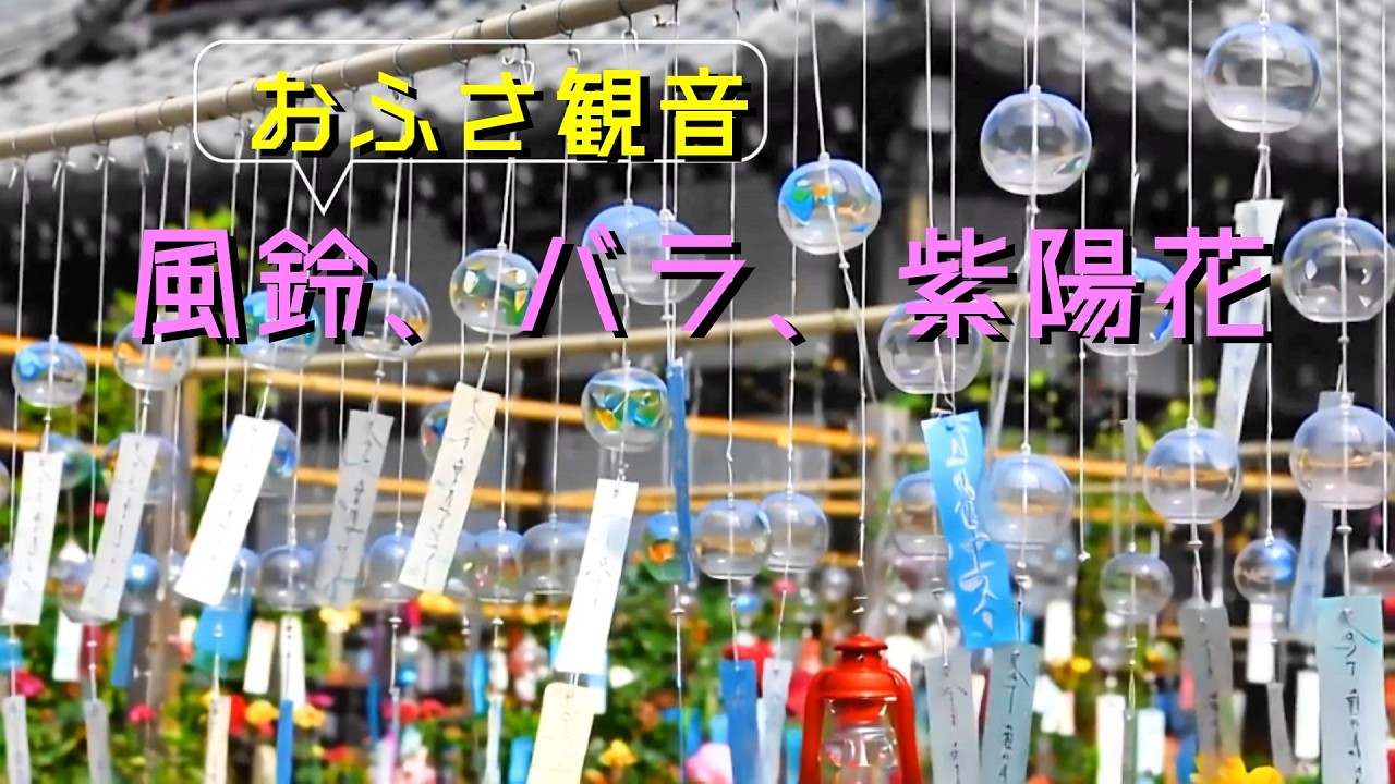 おふさ観音の風鈴、バラ、紫陽花 2026 - YouTube