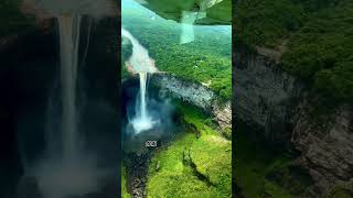 Did you know what they called to Amazon Rainforest?