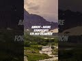 Rain sounds for sleep with real nature photography #relax #rainsounds #natureambience #healingmusic