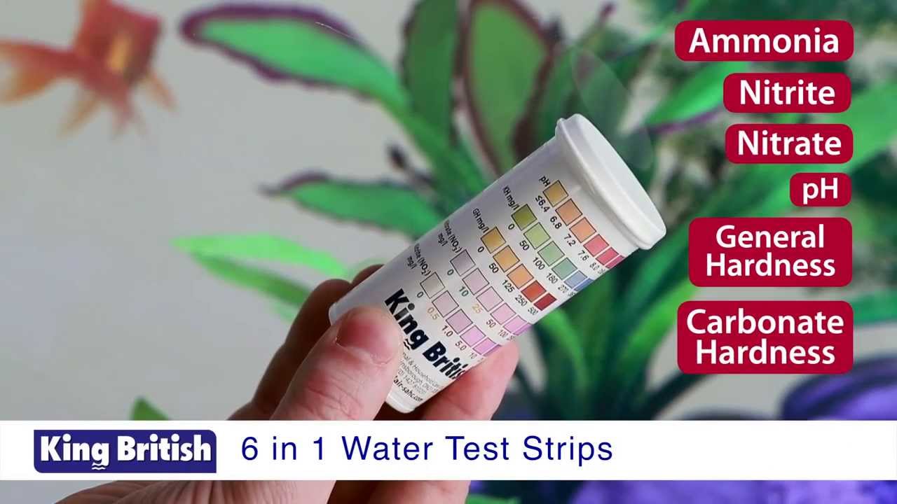 Tetra Easy Strips 6 In 1 Chart