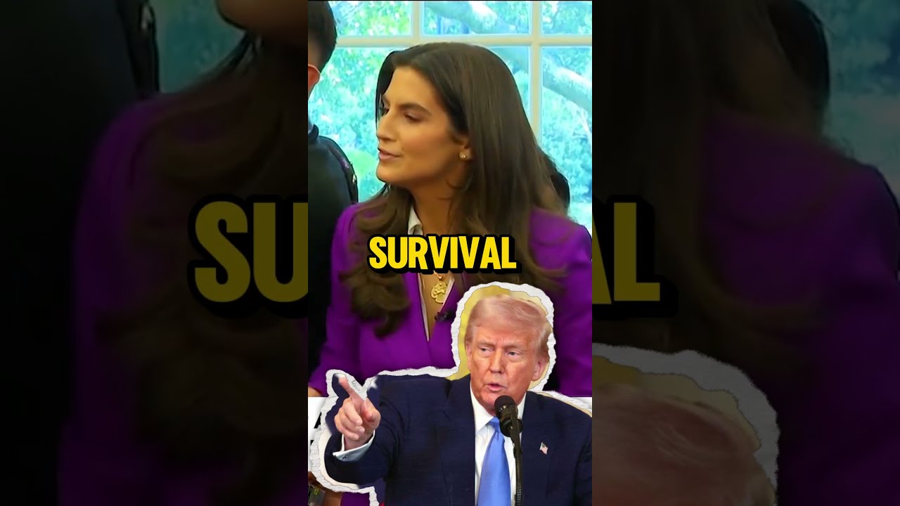 Trump Roasts CNN S Ratings While They Panic Over What Ifs 