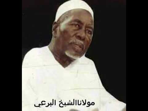 أولاد البرعي سمح السجا