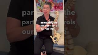 Re-Set Your Nerve System: How Chiropractic Adjustments Help With Healing & Recovery