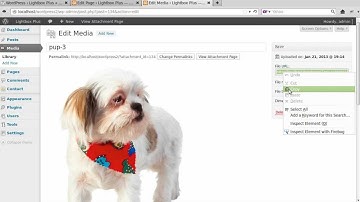 Clicking a text link to open a light box photo using Lightbox Plus