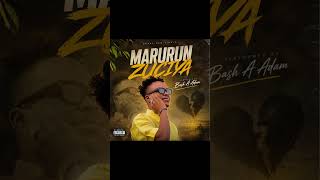 Bash A Adam Marurun Zuciya Audio Song