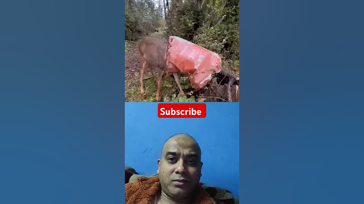 Lady free the Deer after the head was Stuck 😔#shorts #viralshort #animals