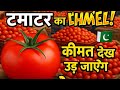 "Pakistan में Tomato Cracker लगाया! असली टेस्ट और रिएक्शन 🍅🇵🇰"