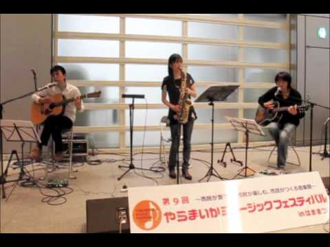サボテンの花 2015 10 10静銀アゴラ