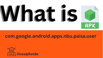 What is Com.google.android.apps.nbu.paisa.user