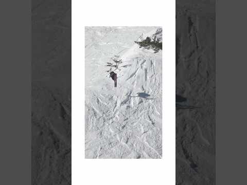 STILL & VIDEO