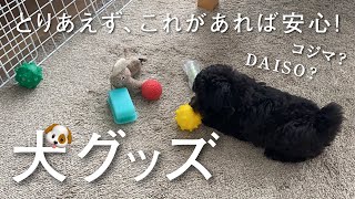 買ってよかった【犬グッズ】大公開！100均のアレがめっちゃ使える…【トイプードルのおもちゃ】