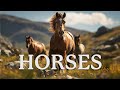 Breathtaking Horse Videos Cinematic Music For Deep Focus Relaxation Study 