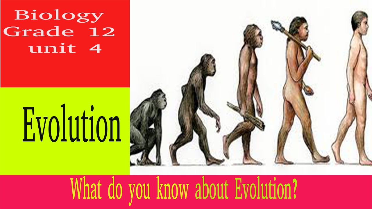 Biology Grade 12, Unit 4, Evolution