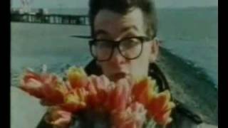 New Amsterdam (with lyrics) - Elvis Costello &amp; The Attractions