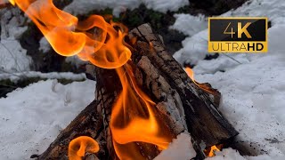 Witness Fire Dancing in the Cold Snow