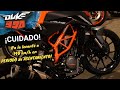 ¡Lo que no SABES del PERIODO de ASENTAMIENTO!🔥| Aguacate Motovlogs🥑
