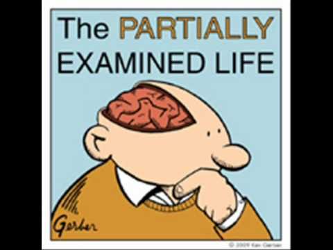 Partially Examined Life podcast - Heisenberg - Phy...