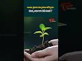 2026 ప్రపంచ పర్యావరణ దినోత్సవం థీమ్ ఇదే! 🌍🌿 | World Environment Day #gk #shorts