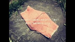 草木染めのマスクちくちくセットorganic cotton