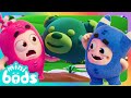 Povero Teddy! 🧸😰 | Cartoni Animati 📺 | Video divertenti | MINIBODS | Baby Oddbods Italia