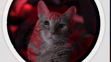 Shortest video on YouTube part 17