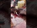 Filthy abattoirs, unhygienic meat processing spike health concerns in Lagos