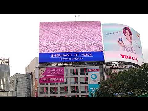 STU48 思い出せる恋をしよう SHIBUYA PUBLIC VIEW