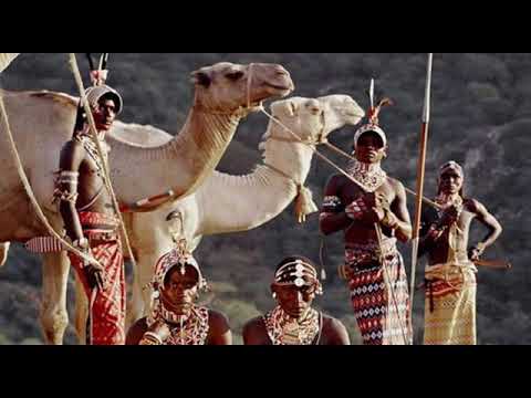 LEILA X LEMARTI X ZIZZA SIAMPA MINTOKI AGORO EXTENDED