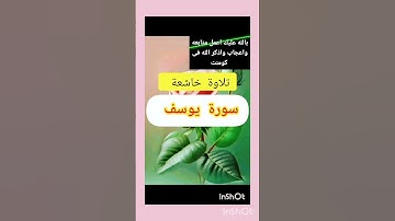 سورة يوسف بصوت جميل #قرآن #اكسبلور