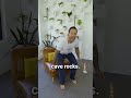 Knee Pain? Try This Before Your Next Walk