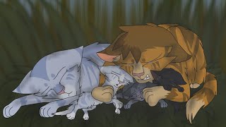 Warrior Cats || All Kit Deaths