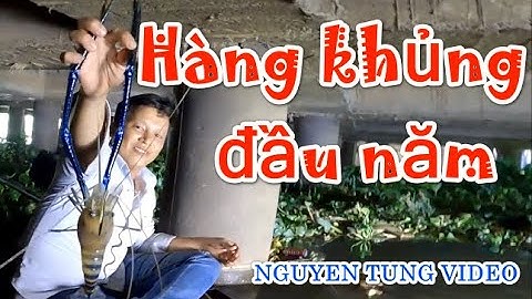 CÂU TÔM CÀNG XANH CẦN THƠ - ĐẦU NĂM LÊN TÔM CÀNG KHỦNG