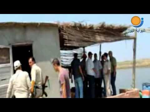 تواصل الحملات الامنية على بحيرة المنزلة