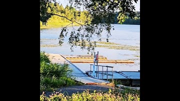 من كان يخاطب الله تعالى هنا(فبأي آلاء ربكما تكذبان) #سورة_الرحمن #قرآن #ماهر_المعيقلى