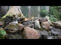Nature Namaste | Conservatory Waterfall