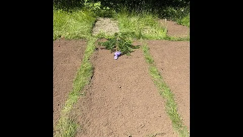 A beautiful farewell