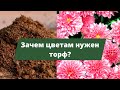 СЕКРЕТ ИДЕАЛЬНОЙ ПОЧВЫ | Как улучшить структуру почвы?