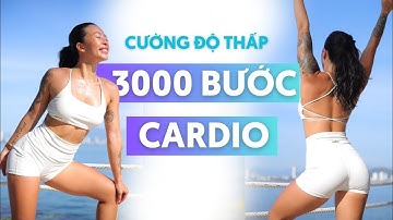 Bài tập Cardio Cường Độ Thấp 3000 Bước Chân - Ai cũng tập được | All level