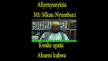 ALIYETUMIA DAWA YA MTI MKUU NYUMBA KWAKE APATA AHUENI KUBWA NA USTADH JAFAR ABDULRAHMAN 