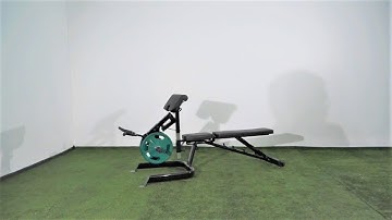 Steelflex Plate Loaded Biceps Curl Machine CLPBC