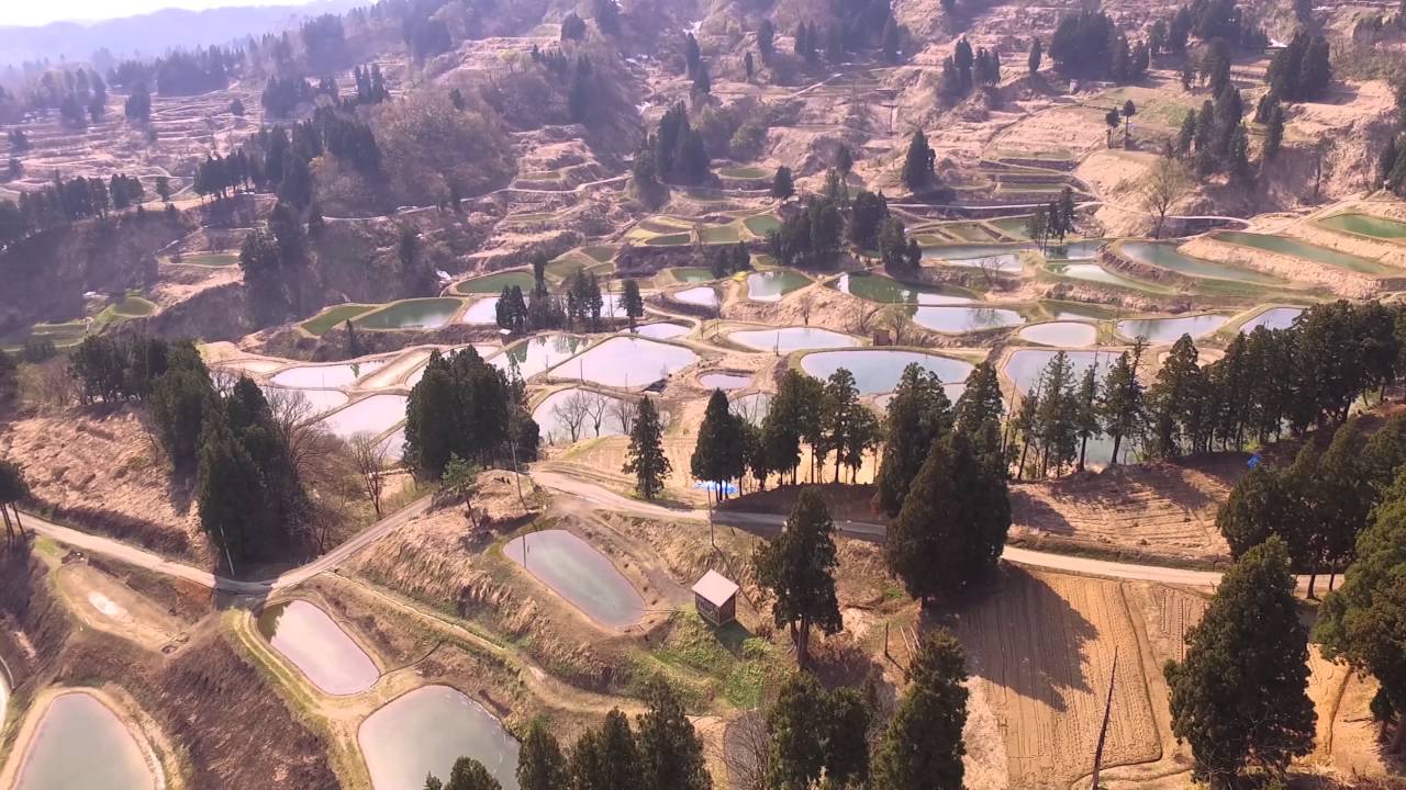 Mushigame from the air