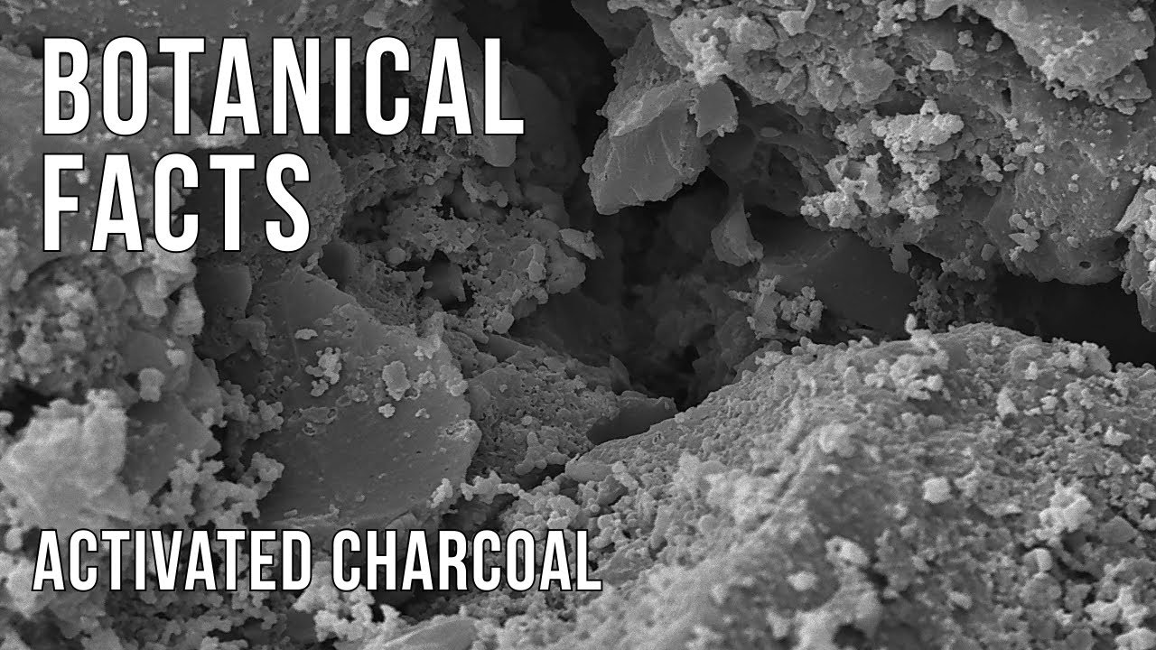 Botanical Facts - Activated Charcoal