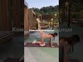 Мой самый простой и любимый комплекс ❤️