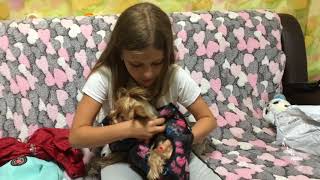 Обзор одежды для собаки Йоркширского терьера 🐶 с AliExpress Обзор одежды для собаки Йоркширского терьера 🐶 с AliExpress