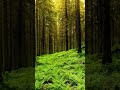 OKLAHOMA SKINWALKER RANCH | BIGFOOT, CRYPTIDS, AND THE UNKNOWN #BIGFOOT #scary #podcast
