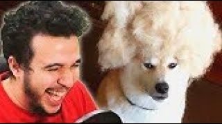 Vous Ne Regretterez Pas Davoir Cliqué